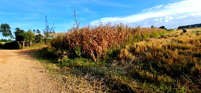 1/8 Acre Plots for Sale in Kiplombe Mtrh Eldoret - Image 5