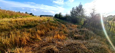 1/8 Acre Plots for Sale in Kiplombe Mtrh Eldoret - Image 4