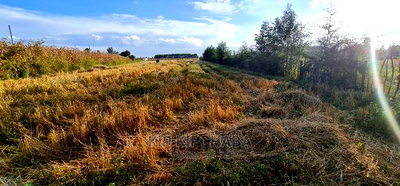 1/8 Acre Plots for Sale in Kiplombe Mtrh Eldoret - Image 2