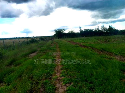 10 Acreas for Sale Nanyuki Mutirithia - Image 3