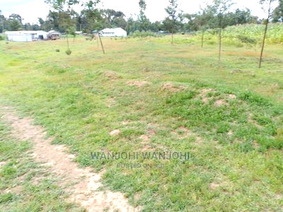 Very Prime Plots in Oljoroorok - Image 4