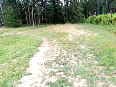 Very Prime Plots in Oljoroorok - Image 2