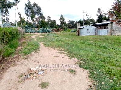 Very Prime Plots in Oljoroorok - Image 7