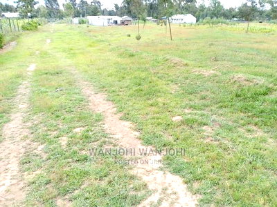 Very Prime Plots in Oljoroorok - Image 6