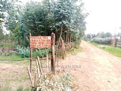 Very Prime Plots in Oljoroorok - Image 10