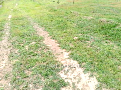 Very Prime Plots in Oljoroorok - Image 5