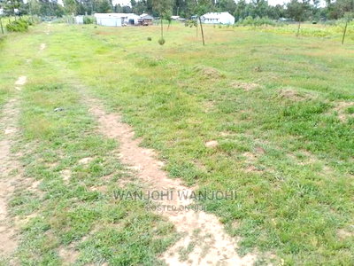 Very Prime Plots in Oljoroorok - Image 1
