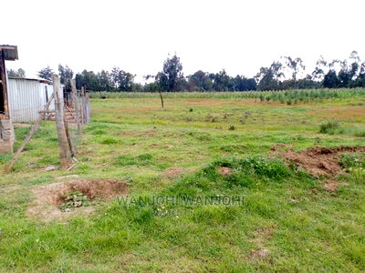 Very Prime Plots in Oljoroorok - Image 8