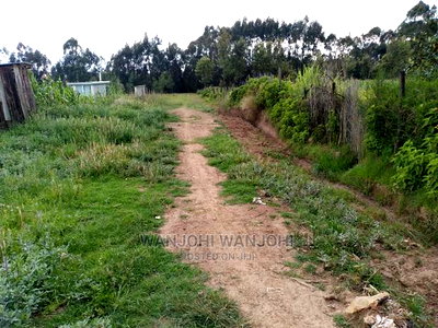 Very Prime Plots in Oljoroorok - Image 9