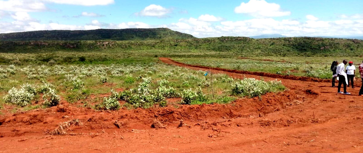 50x100 Plot for KSh 299K
