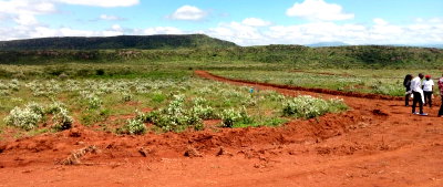 50x100 Plot for KSh 299K