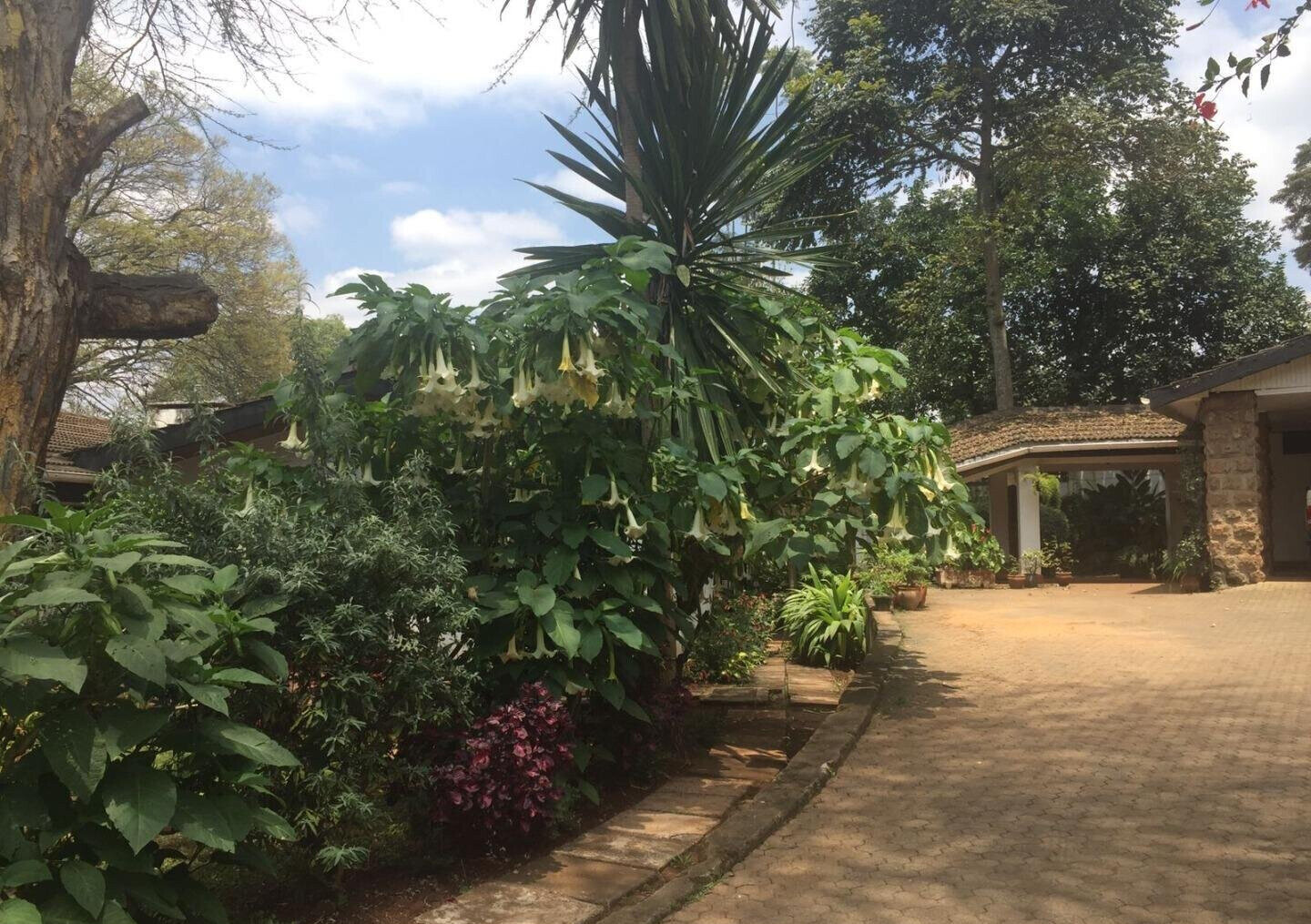 0.21 Acre Nyari Haven at KSh 400K