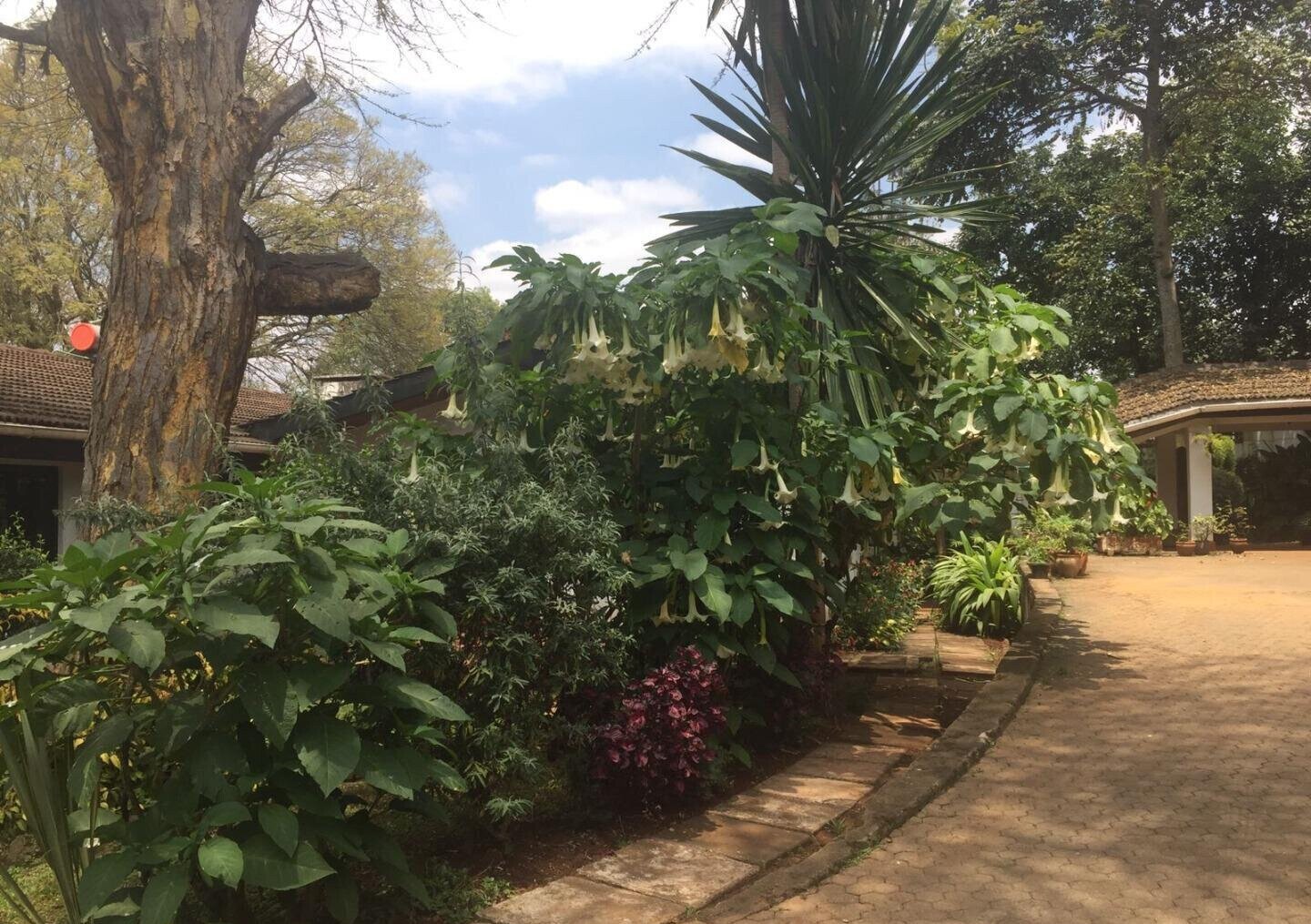 0.21 Acre Nyari Haven at KSh 400K