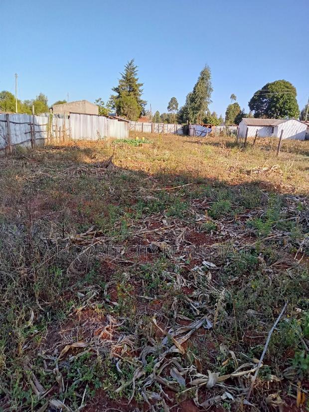 1/4 Plot Chebarus Kimumu With Title