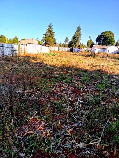 1/4 Plot Chebarus Kimumu With Title - Image 2