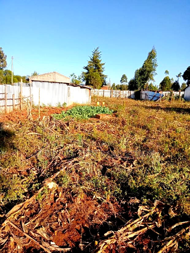 1/4 Plot Chebarus Kimumu With Title