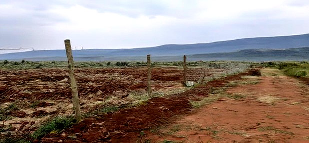 Most Affordable Plots in Kikuyu