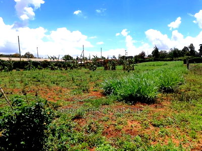 100x100 0.1ha Prime Residential Plot for Sale in Kikuyu - Image 5