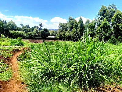 3 Acres Land, Kikuyu, Ondiri on Tarmac at Kes. 40 Per Acre - Image 4