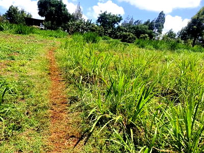 3 Acres Land, Kikuyu, Ondiri on Tarmac at Kes. 40 Per Acre - Image 5