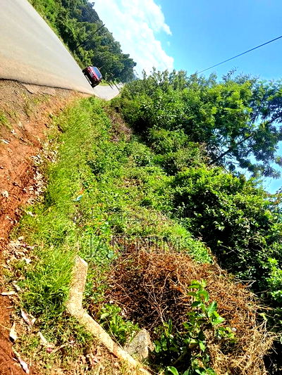 3 Acres Land, Kikuyu, Ondiri on Tarmac at Kes. 40 Per Acre - Image 3