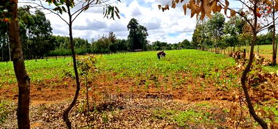 1/2 Acre Land for Sale in Outspan Eldoret - Image 1
