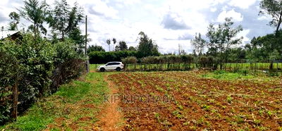 1/2 Acre Land for Sale in Outspan Eldoret - Image 5