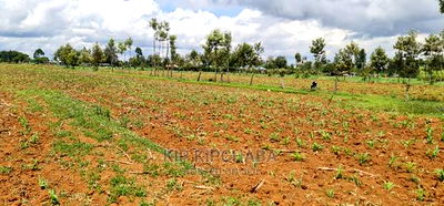 1/2 Acre Land for Sale in Outspan Eldoret - Image 3
