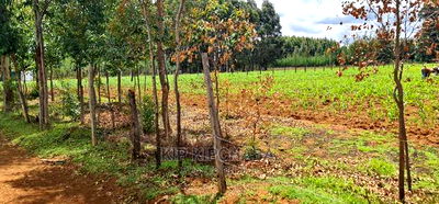 1/2 Acre Land for Sale in Outspan Eldoret - Image 2
