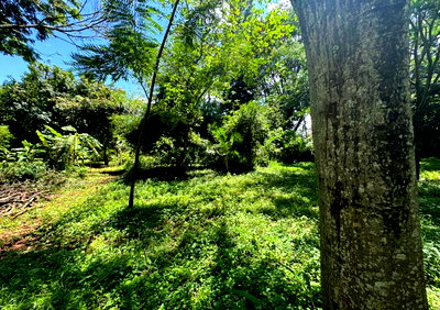 Half Acre Kitisuru Plot at KSh 65M