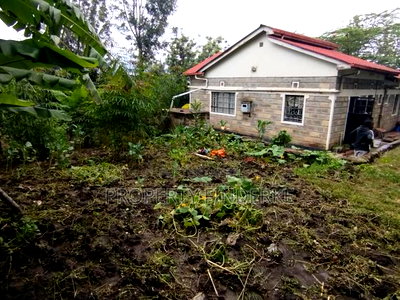 1\4 Acre Residential Land for Sale - Image 3