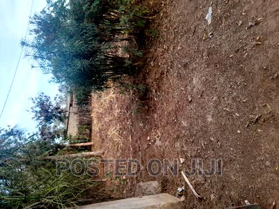Best Land Deals - Image 3