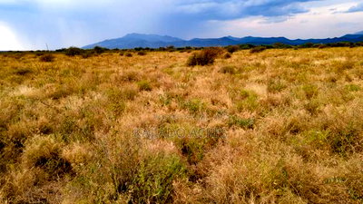 50 Acres Oloika at Per Acre - Image 1