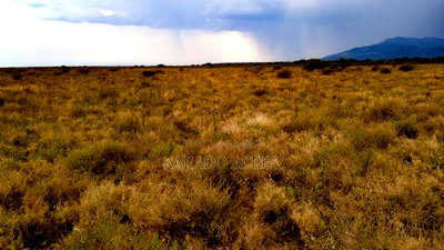 50 Acres Oloika at Per Acre - Image 5