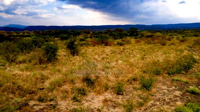 50 Acres Oloika at Per Acre - Image 4