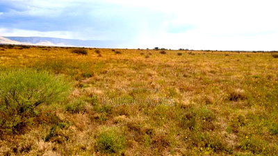 50 Acres Oloika at Per Acre - Image 3