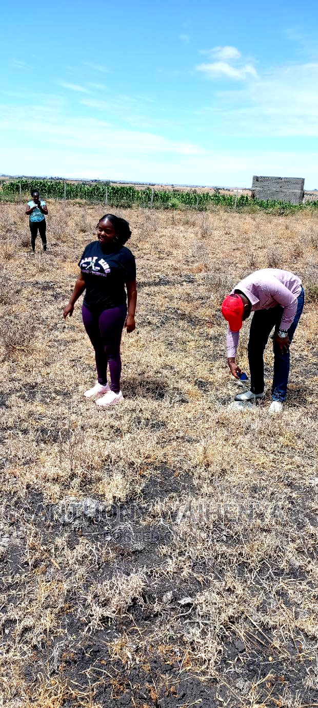 KITENGELA Isinya Paradise Project Size 50*100