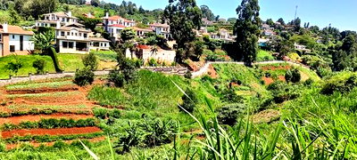 Prime 8 Acres Redhill, Kiambu - Image 2