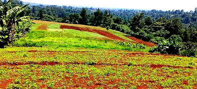 Prime 8 Acres Redhill, Kiambu - Image 1