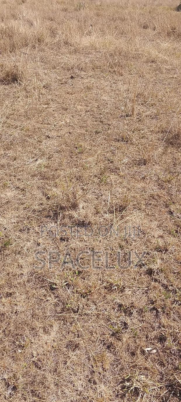 A Good 1 Acre Yard Industrial Area