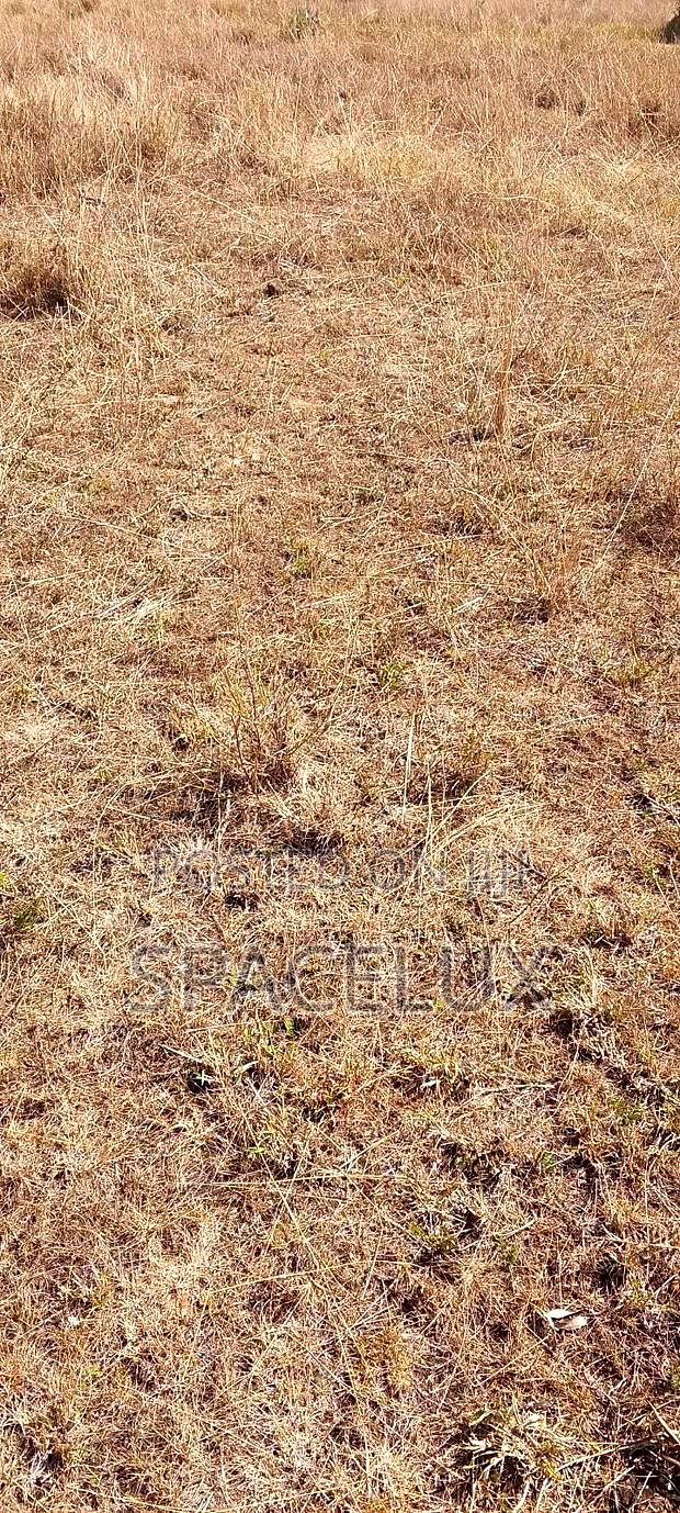 A Good 1 Acre Yard Industrial Area