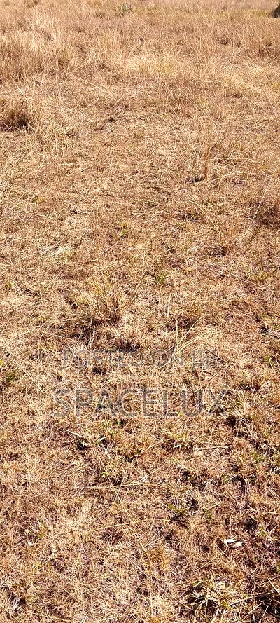 A Good 1 Acre Yard Industrial Area - Image 1