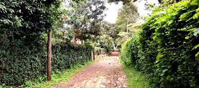 Kerarapon Drive Plot for Sale - Image 3