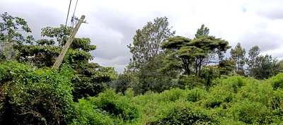 Kerarapon Drive Plot for Sale - Image 2