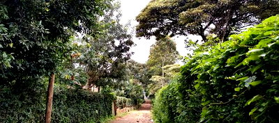 Kerarapon Drive Plot for Sale - Image 4