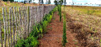 2bdrm Farm House in Chembulet, Sergoit for sale - Image 13