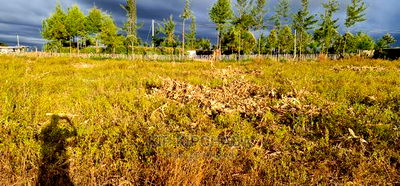 2bdrm Farm House in Chembulet, Sergoit for sale - Image 10