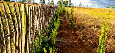 2bdrm Farm House in Chembulet, Sergoit for sale - Image 11