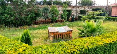 2bdrm Farm House in Chembulet, Sergoit for sale - Image 15