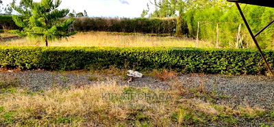 2bdrm Farm House in Chembulet, Sergoit for sale - Image 7